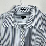 Talbots  Womens Striped Button Down Shirt Wrinkle Resistant Blue White Size 12 Photo 7