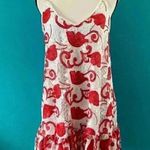 Alexis  Clement lace Dress in red and white Photo 1