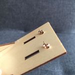 Paw Print Cut Out Stainless Steel Fashion Stud Earrings, ROSE GOLD Pink Photo 7