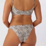 O'Neill New! O’Neill Cheeky Leopard Print Bikini Bottoms Photo 1
