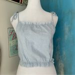 Brandy Melville  John Galt Blue Striped Tank Top Photo 11