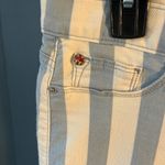 Hudson Jeans Hudson Blue and White Striped Skinny Jeans | Size 29 Photo 1