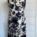 Maggy London  off white and black casual floral sheath dress sz 8 Photo 1