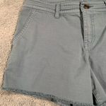 prAna  Women's Blue Shorts 8 Photo 1