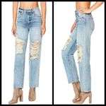 LF ππ Marietta Boyfriend Shredded High Rise Jeans Photo 4