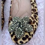 Vince Camuto Cheetah Leopard Print Gem Flats Luxury Loafers Ballerina Shoe 7.5 Photo 2