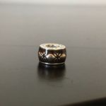 Pandora  Ombré Sterling Silver Bracelet Charm Photo 4