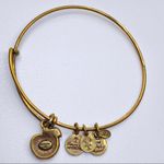 ALEX AND ANI  Gold tone Apple Bangle Bracelet Photo 2