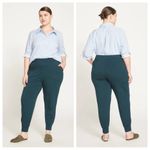 Universal Standard Jogger Pants SZ 14-16 Hathaway Jersey Deep Sea Teal NWT Photo 1