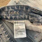 American Eagle Outfitters Shorties Photo 2