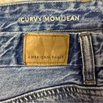 American Eagle  Curvy Mom Jeans Distressed Size 12 High Rise Photo 4