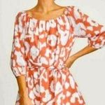 Elizabeth and James  Dress Photo 0