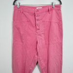 Pistola Pink Cotton Button Fly Utility Cargo Pants Size 30 Photo 5