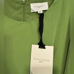 Tuckernuck Pomander Place Pistachio Green Cape Leah Dress midi size 14 NWT Photo 3
