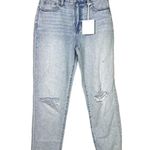 Pistola NWT  Presley Relaxed Distressed High Rise Roller Jeans 26 Hibiscus Blue Photo 0