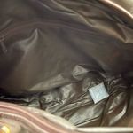 Rose Robert’s Quail Photo 14