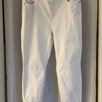 Talbots JEGGING Jeans Sz:16P Photo 0