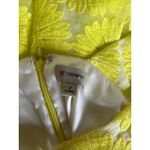 Daniel Cremieux Cremieux Yellow and White Flower Fit and Flare Dress Photo 4