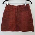 Urban Outfitters BDG Burnt Orange Snake Skin Skirt Photo 0