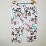 st. john's bay  Tropical Print‎ Capri Pants Size 14 Photo 6