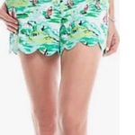 Crown & Ivy Scalloped Hem Sailboat Plus Size Shorts White Blue 24W Pockets Photo 1