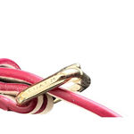 Coach CHALK TEA STRAP BRASS Photo 4