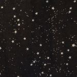 Madewell Oversized Ex-Boyfriend Black White Stars Button Up Shirt Photo 5