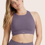 SculptFlex Power Frame Bra Purple Size M Photo 0