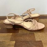J. McLaughlin  Womens Sandals 8 Nude Strappy Kitten Heel NEW Reptile Heel Minimal‎ Photo 4