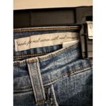 Not Your Daughters Jeans Womens 16WP Blue Denim Straight Leg Jeans Size 16W Photo 2