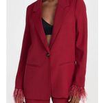 WAYF NWT  Romee Deep Red Ostrich Feather blazer Photo 0
