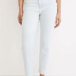 Madewell  The Momjean in Bloomfield Wash Tencel Denim Edition Photo 2