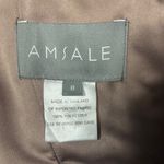 Amsale Womens Brown Strapless Ruched Bodice Chiffon Formal Gown Size 8 Photo 7