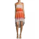 Haute Hippie NWT Ombre' Silk High- Low Dress $535 Size Medium Photo 1