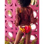 Aerie NWT  Pique Bikini Bottom Women's Zinnia Full Coverage Beachy Surfing Sz XL Photo 2