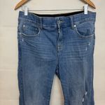 Torrid  Bombshell High-Rise Straight Jean Blue Jeans Premium Stretch 14R regular Photo 2