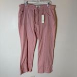 BDG NWT  Urban Outfitters 5 Pocket Linen Mix Pants in Pink Size XL Photo 1
