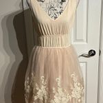 Pinky Lace Embroidered Floral Tulle Vintage y2k Ballet Tutu V Photo 0