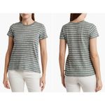 ATM green & cream striped short Photo 1