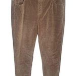 Soft Surroundings Women’s Straight Brown Corduroy Zip Mid Rise Pants W-206 Sz XL Photo 0