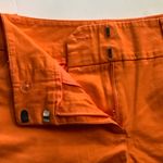 NY & Co. 7th Avenue Design Studio Orange Women's Chino Shorts Size 2 Photo 4