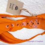 New! Set! Signature One Photo 7