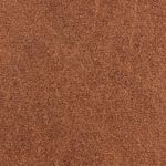 SKIMS penny metallic swim v-waist short | ruched swim shorts Photo 5