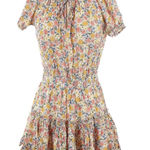 Impeccable Pig  Dress Photo 0