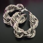 🆕️Elegant Silver Twisted Hoop Earrings Photo 1