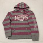 Disney  PARKS Disneyland Resort Bling Striped Pink Gray Hoodie Sweatshirt Size XL Photo 0