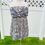 Torrid  GREY SNAKESKIN PRINT STRAPLESS BABYDOLL TUNIC Photo 4