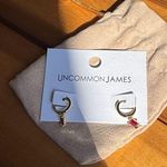 Uncommon James  birthstone hoops January Photo 0
