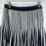Anthropologie Maeve Womens Remy Black White Striped A-Line Pleated Skirt Size 12 Photo 2