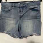 Indigo Rein  Light Blue Jean Shorts Photo 0